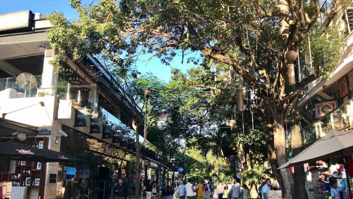 La Quinta Avenida y sus alrededores en Playa del Carmen